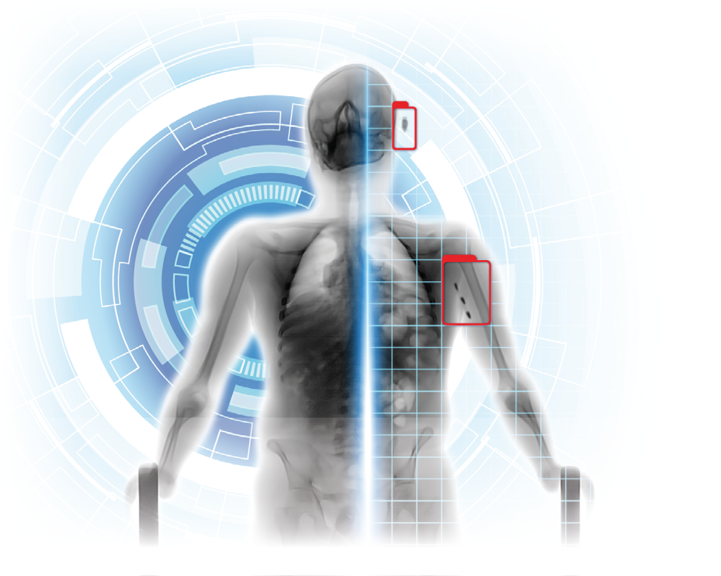 THEIA Automatic Contraband Detection